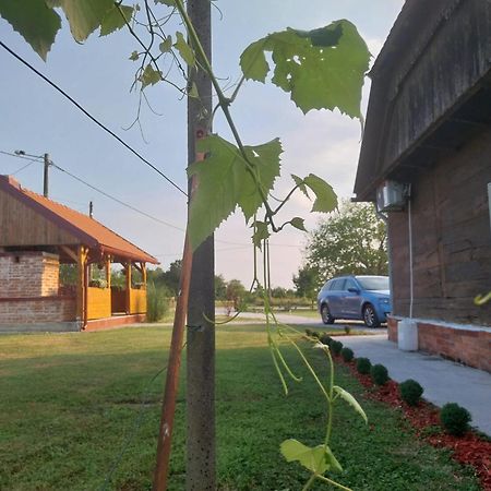 Kuca Za Odmor Jopi I Mare Vila Topusko Exterior foto