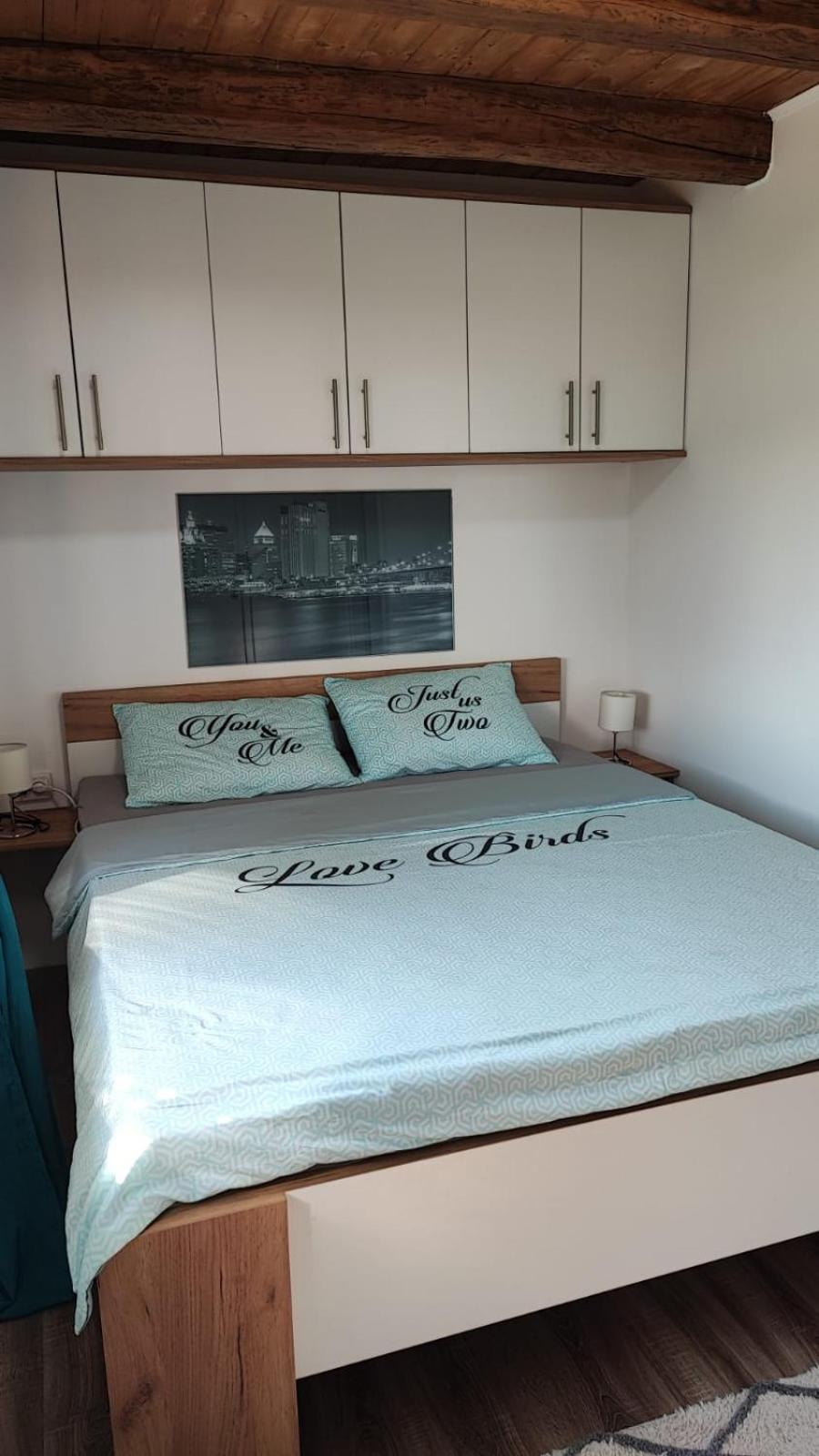 Kuca Za Odmor Jopi I Mare Vila Topusko Exterior foto