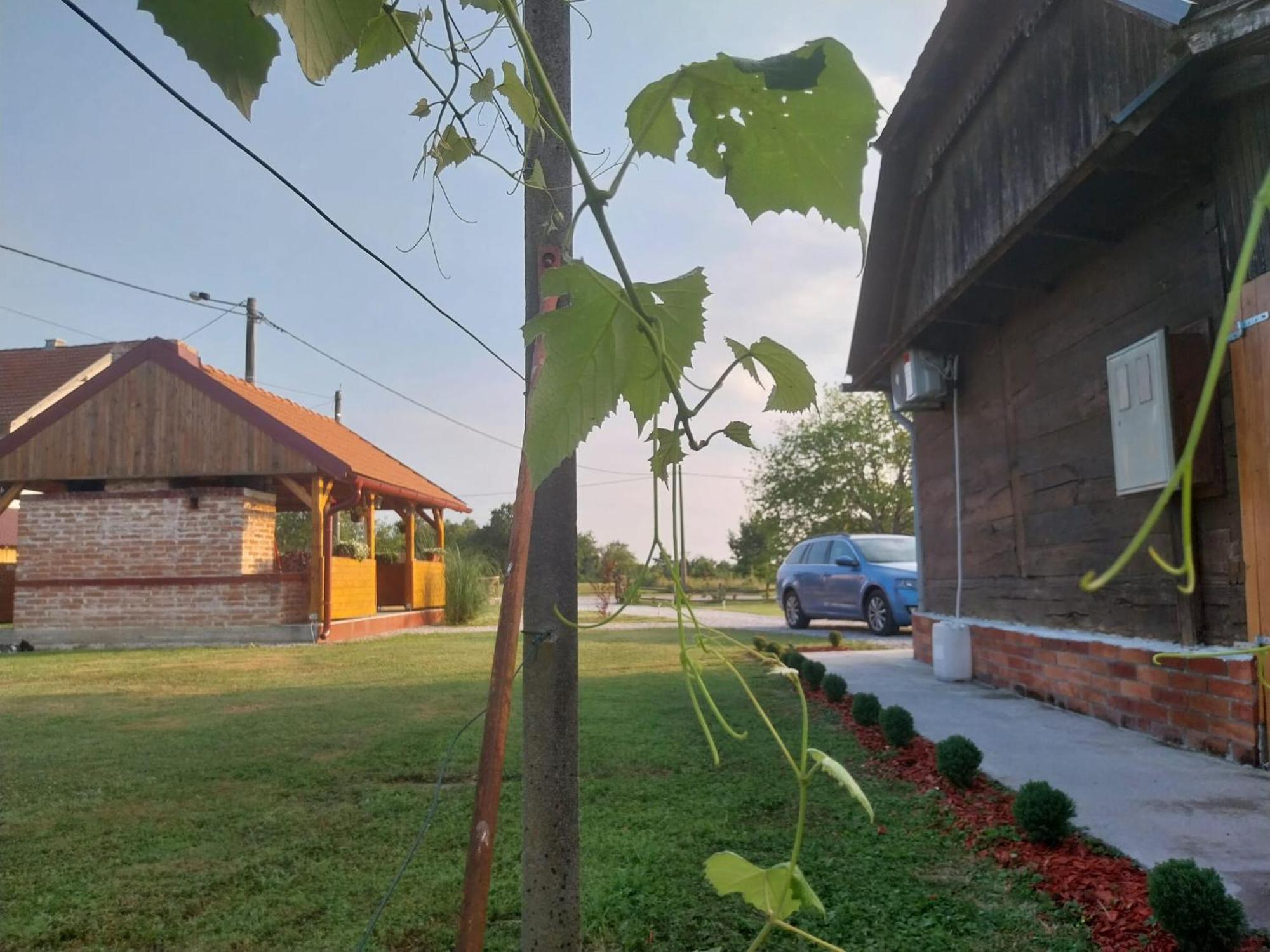 Kuca Za Odmor Jopi I Mare Vila Topusko Exterior foto