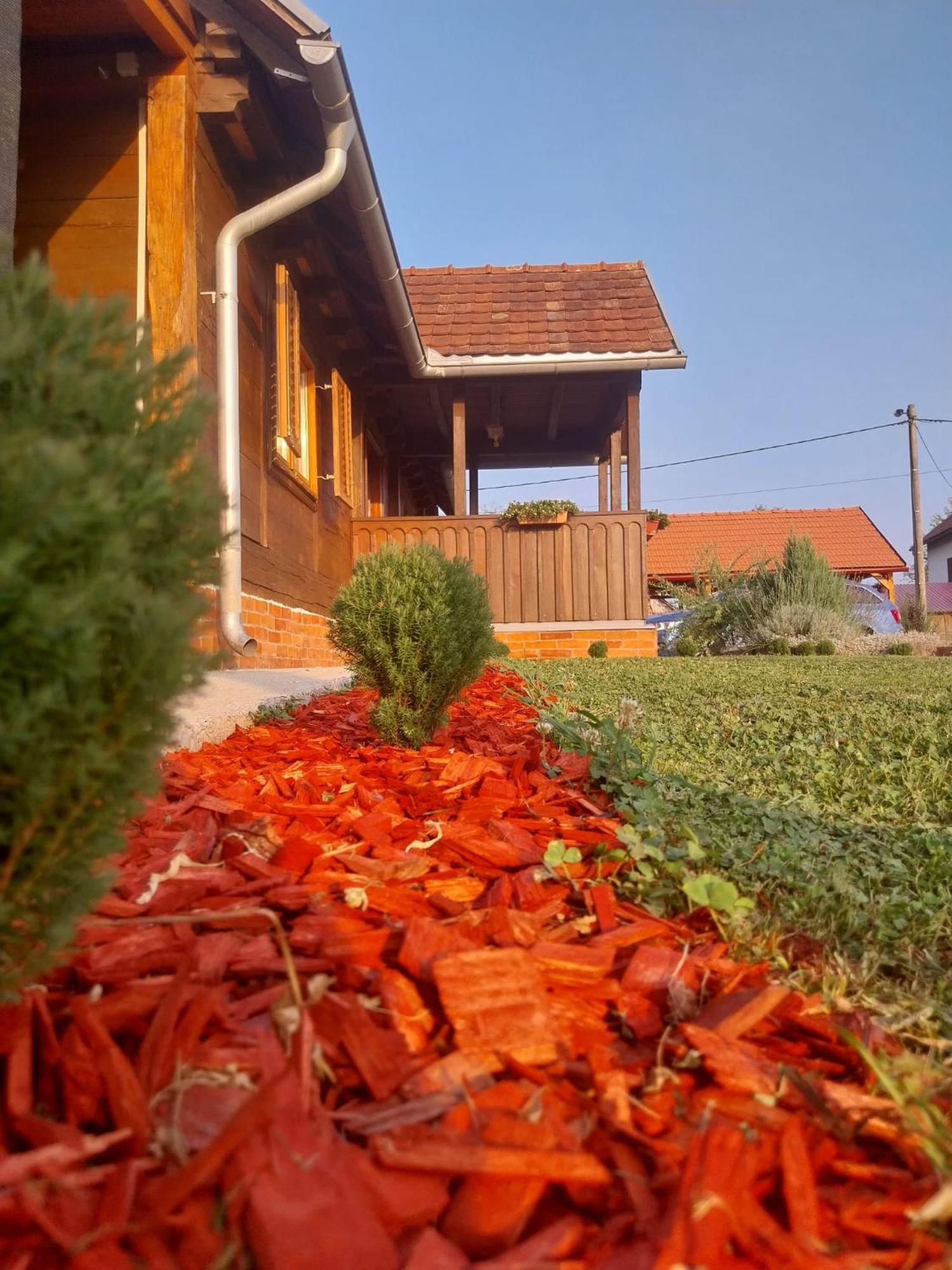 Kuca Za Odmor Jopi I Mare Vila Topusko Exterior foto
