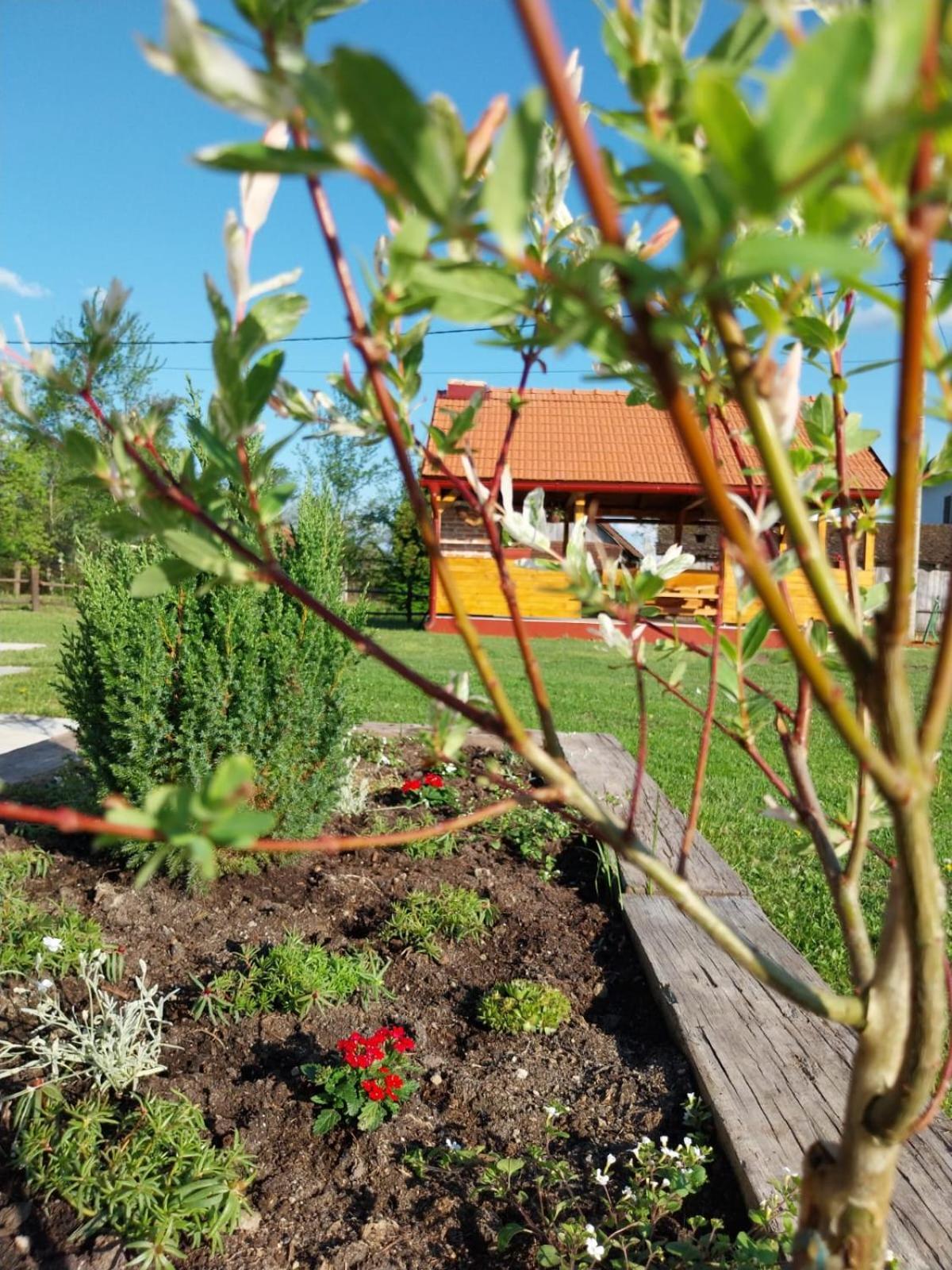 Kuca Za Odmor Jopi I Mare Vila Topusko Exterior foto