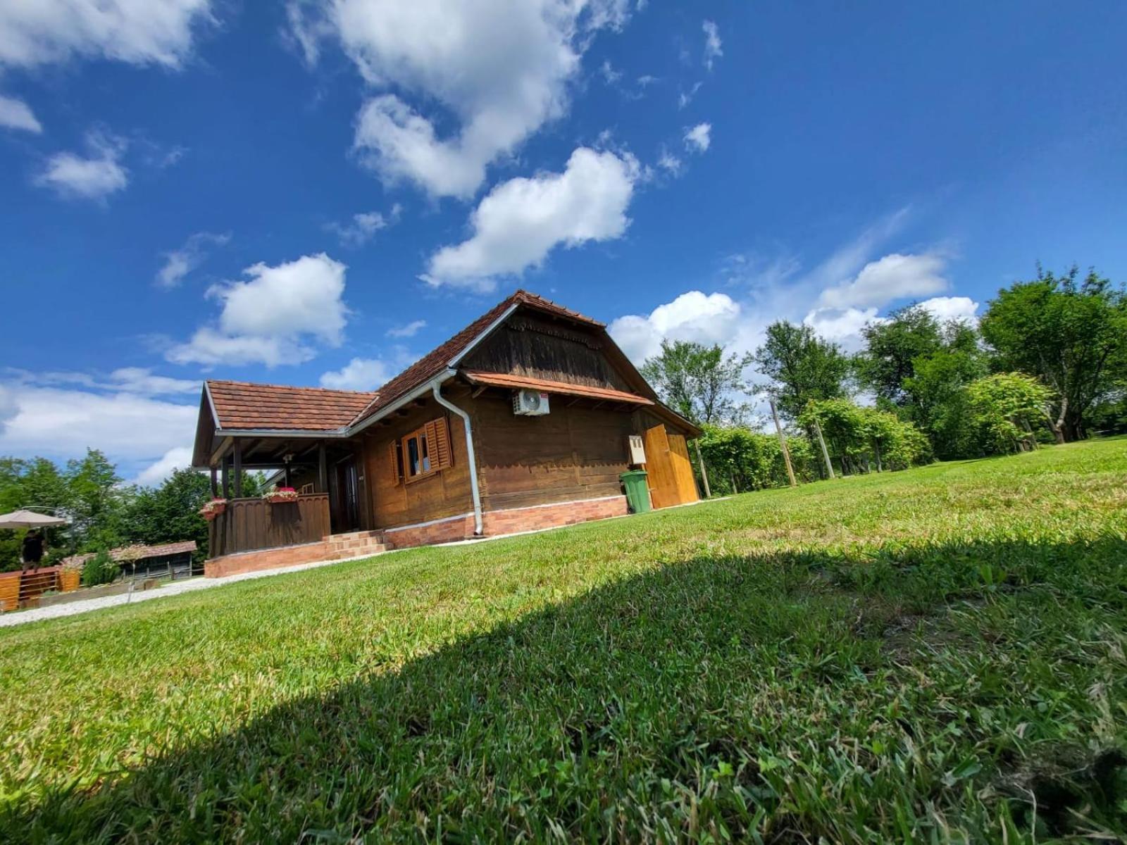 Kuca Za Odmor Jopi I Mare Vila Topusko Exterior foto